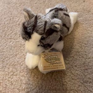 Webkinz Kitten new with Tags